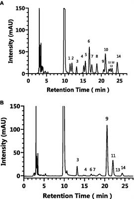 The antioxidant activity of polysaccharides from Armillaria gallica
